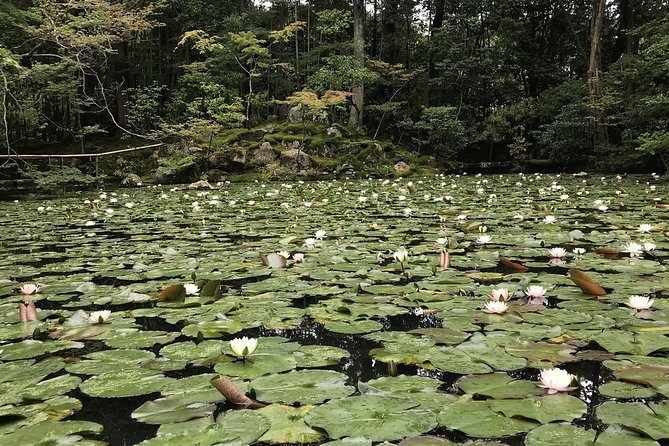 Kyoto: The Path Less Traveled (Private) - Meeting Point and Logistics