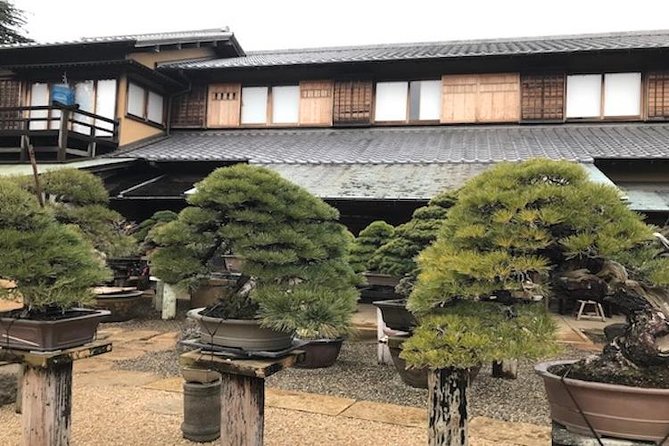 Make Your Own BONSAI With a Professional Artist in Tokyo - What to Expect in Tokyo