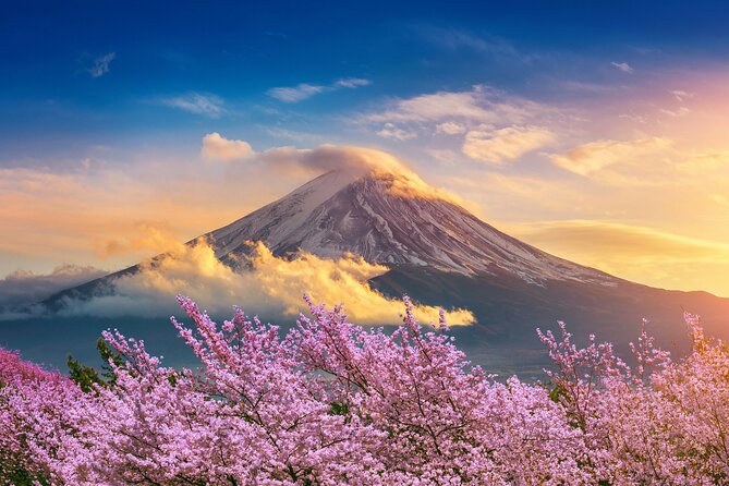 Mount Fuji Private Trip From Tokyo by Car/Van - in English - Whats Included in the Tour