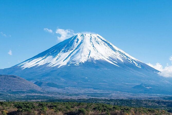 Mt.Fuji, Oishi Park & Arakurayama Sengen Park Bus Tour From Tokyo - Important Reminders for Travelers