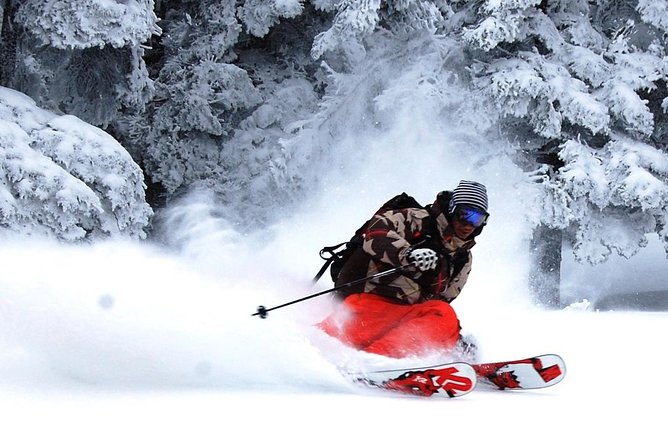 Nagano Ski Buffet - Skiing and Snow Adventures