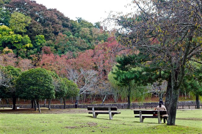 Nara Custom Half Day Tour - Customizing Your Tour Experience