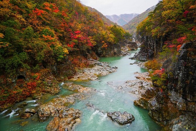 Nikko Full Day Private Tour With English Speaking Driver - Meeting and Pickup Arrangements