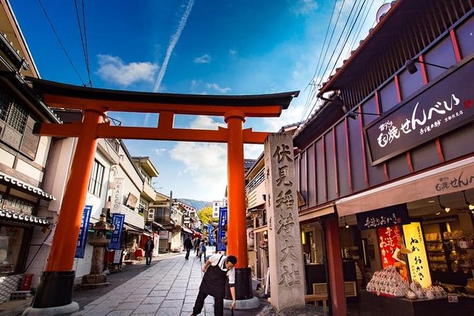 Osaka Custom Full Day Tour - Pricing and Group Options