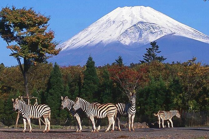 Private Mount Fuji and Hakone City Tour From Tokyo - Discovering Hakone Citys Charm