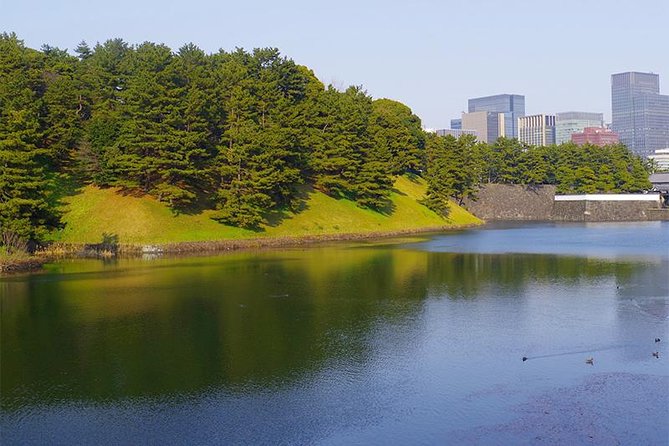 Private Tour - History, Art and Nature at the Imperial Palace - A Day in the Life of a Local