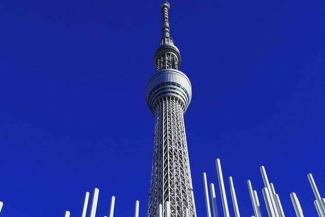 Private Tour Tokyo - the Harmony of Modernity and Tradition - Exploring Iconic Landmarks