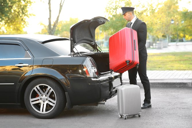 Private Transfer From Tokyo City Center to Tokyo Haneda Airport - Traveling With Luggage and Infants