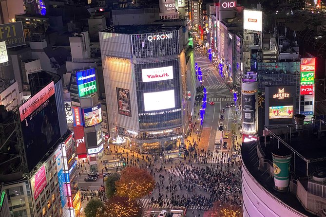 Tokyo: Shibuya Highlights Walking Tour - Shibuyas History and Development