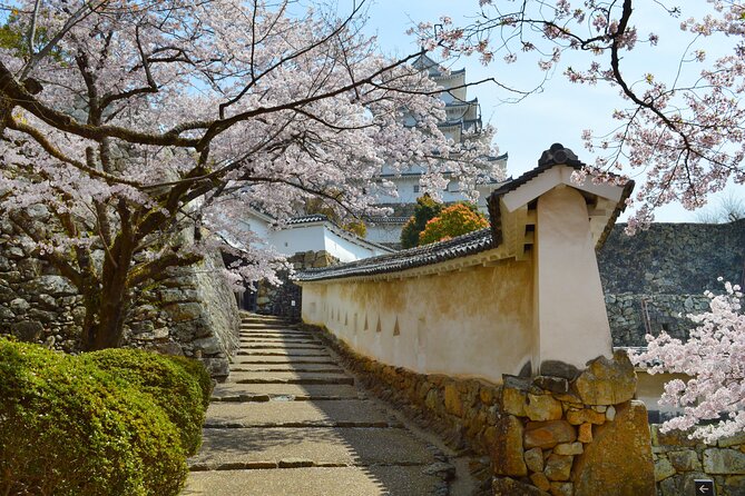 World Heritage Himeji Castle &Traditional Sake Breweries Tour - Tour Schedule and Pricing