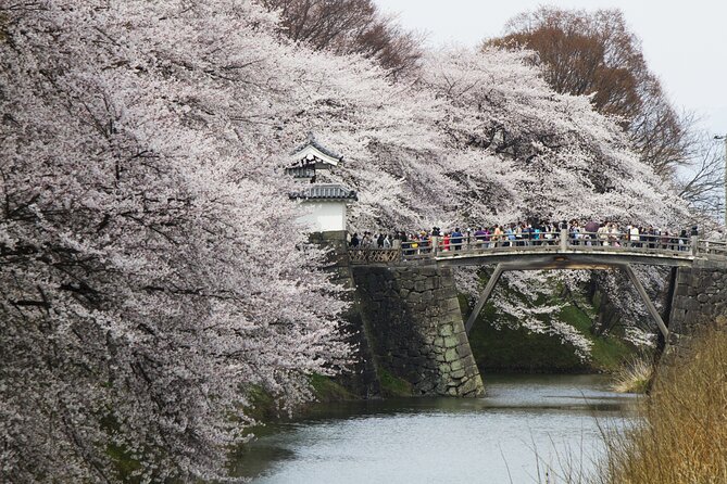 Yamagata / Yamadera 6hr Private Trip With Licensed Guide - Accessibility and Inclusions