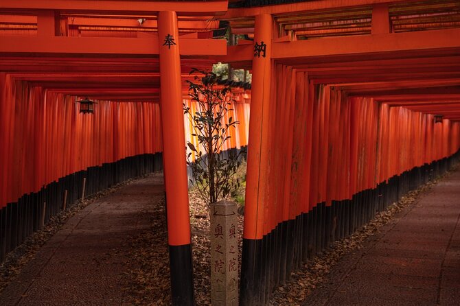 10 Must-See Spots in Kyoto One Day Private Tour (Up to 7 People) - Reviews and Tour Ratings