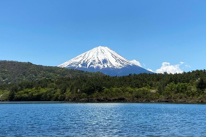 Aokigahara Nature Conservation Full-Day Hiking Tour - Safety Precautions and Guidelines