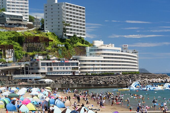 Atami Half-Day Private Tour With Government-Licensed Guide - Accessibility and Special Needs