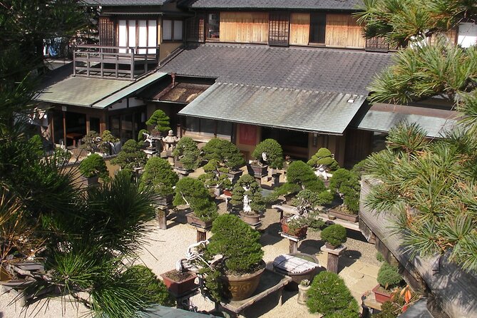 Bonsai and Washi Museum Visit in Tokyo - Tour Schedule and Details