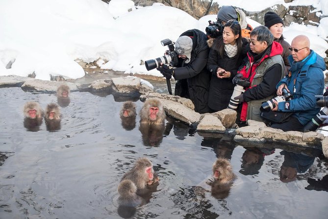 Full-Day Private Nagano Tour: Zenkoji Temple, Obuse, Jigokudani Monkey Park - Important Tour Requirements