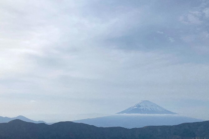 Full Day Private Tour to Mt Fuji by Luxury Vehicle - Hotel Pickup and Dropoff Details