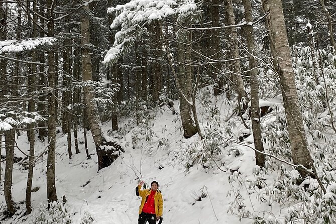 Full Day Snowshoeing Adventures With Onsen. - What to Expect on the Trail