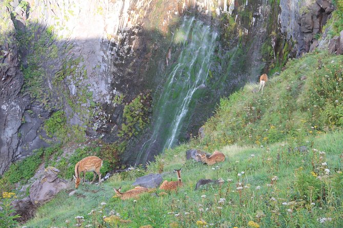 Furepe Waterfall Nature Walk - Getting Ready for the Walk