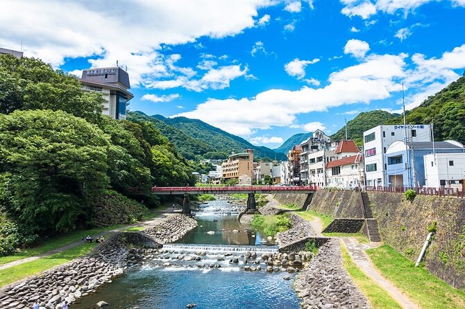 Hakone 8 Hour Private Tour With Government-Licensed Guide - Customizing Your Hakone Tour