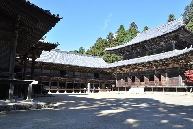 Himeji Half-Day Private Tour With Government-Licensed Guide - Expert Guidance and Insights