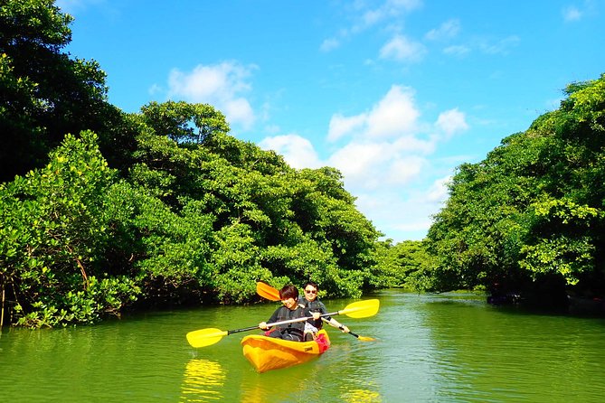 [Ishigaki]Mangrove SUP/Canoe + Blue Cave Snorkeling - Meeting and Pickup Information