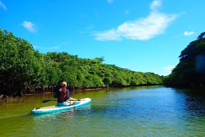 [Ishigaki]Mangrove SUP/Canoe Tour - Important Reminders and Notes