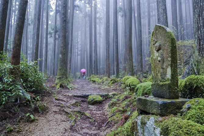 Kumano Kodo Pilgrimage Tour With Licensed Guide & Vehicle - Cancellation and Refund Policy