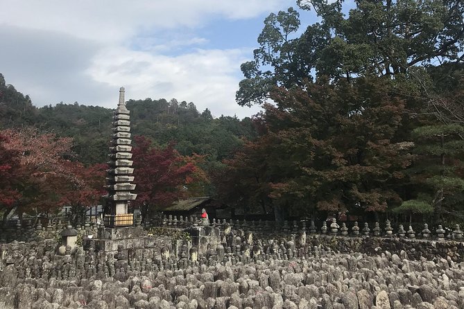 Kyoto: Descending Arashiyama (Private) - Important Tour Restrictions