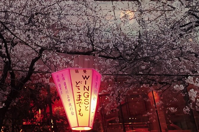 Licensed Guide Tokyo Meguro Cherry Blossom Walking Tour - Inclusions and Amenities