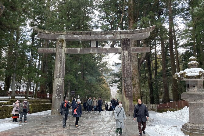 Nikko Full Day Private Tour With English Speaking Driver - Tour Accessibility and Options