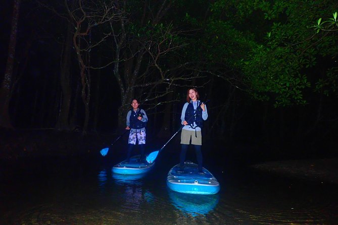 [Okinawa Iriomote] Night SUP/Canoe Tour in Iriomote Island - Pricing and Booking Information