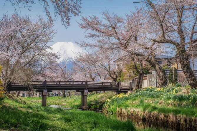 Oshino Hakkai and Hot Spring Trip From Tokyo to Mt. Fuji - Reviews and Testimonials