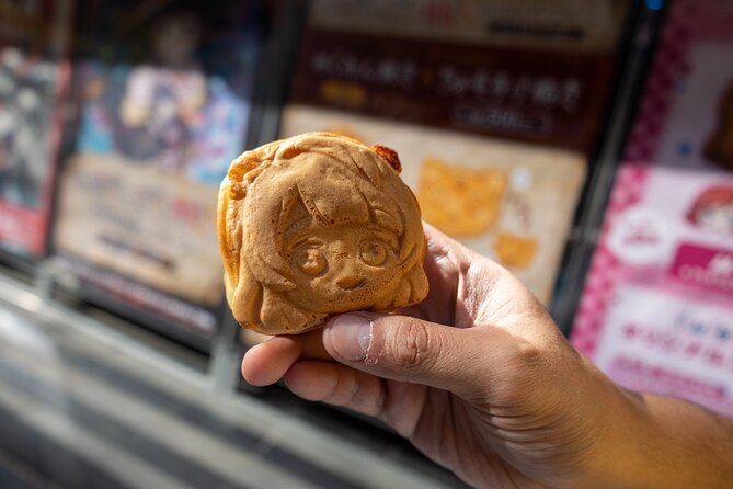 Private Akihabara Walking Tour With Otaku and Photography - Reviews and Testimonials