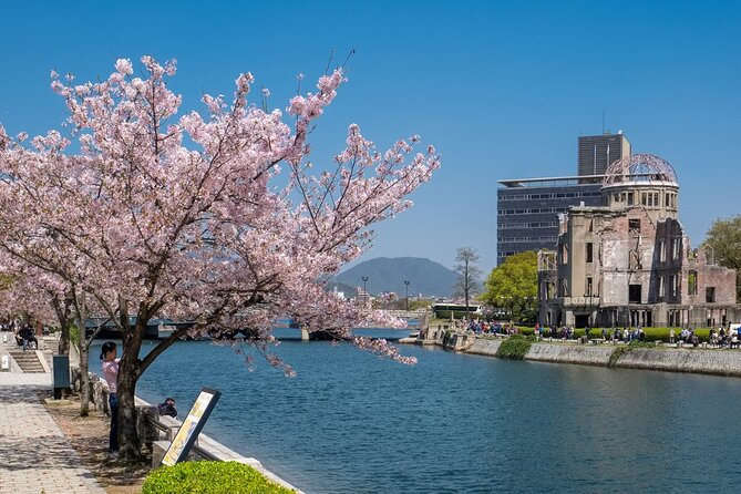 Private Hiroshima Cherry Blossom and Sakura Experience - Reviews From Past Travelers