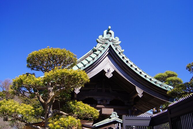 Private Kamakura and Enoshima Day Tour From Tokyo - Reviews and Ratings Overview