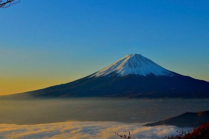 Private Mount Fuji and Hakone City Tour From Tokyo - Private Transportation and Amenities