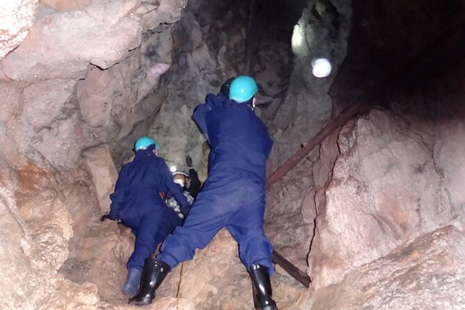 Private Ninja Training in a Cave in Hidaka - Important Health Considerations