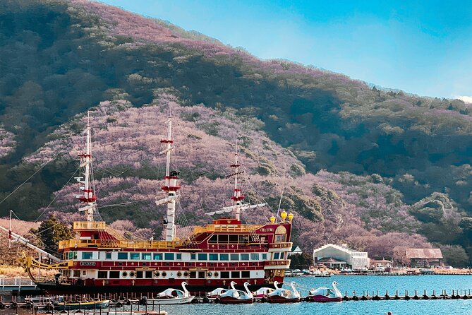 Private Sightseeing Tour to Mt Fuji and Hakone Guide - Inclusions and Additional Fees