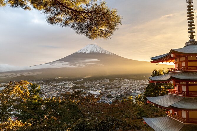 Private Tour to Mt Fuji and Hakone With English Speaking Driver - Cancellation and Refund Policy