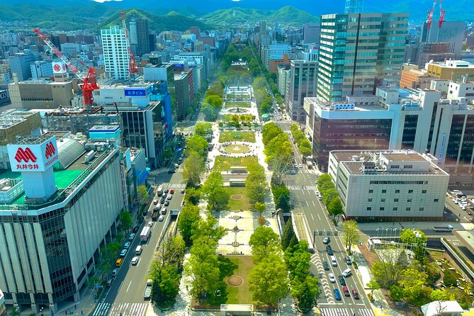 Sapporo Afternoon Walking Tour 2h 30mins - Tour Schedule and Timeline