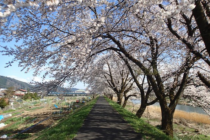 Short Morning Cycling Tour in Hida - On-Route Snacks and Refreshments