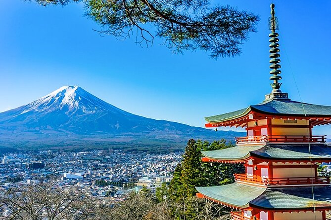 Walking Tour in Mt. Fuji From Tokyo - Safety Precautions and Tips