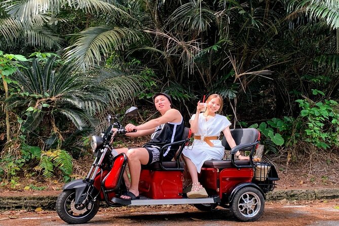 2h 3-Seater Electric Trike Rental (Ishigaki, Okinawa) - Preparing for the Tour Experience