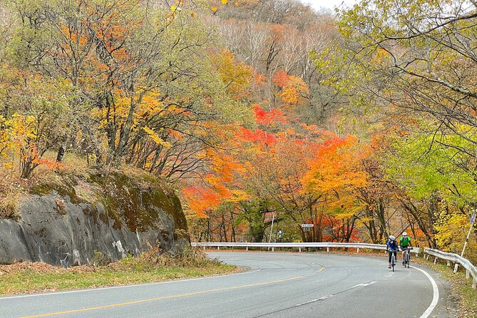 Akagi Mountain E-Bike Hill Climbing Tour - Essential Safety Precautions