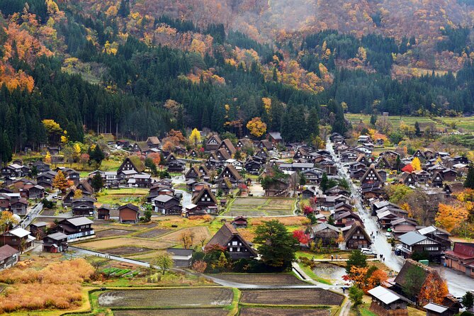 Day Trip for Shirakawago ,Takayama & Gujo Hachiman From Nagoya - Reviews and Testimonials