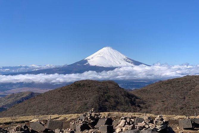 Hakone Private Two Day Tour From Tokyo With Overnight Stay in Ryokan - Independent Exploring on Day Two