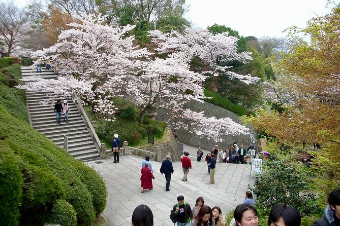 Higashiyama Kiyomizudera and Yasaka Shrine Discovery Walking Tour - Meeting and Getting Started