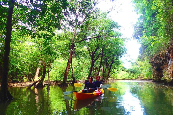 [Ishigaki]Mangrove SUP/Canoe + Blue Cave Snorkeling - Important Health and Safety Notes