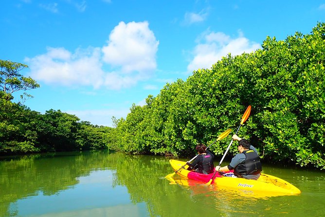 [Ishigaki]Mangrove SUP/Canoe Tour - Reviews and Ratings Overview